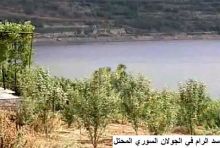 دعم أولمبي للرياضة الفلسطينية