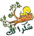 عسكري سعودي يحرز المركز الأول في الرماية