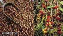 هل الإفراط في الأكل نوع من الإدمان؟