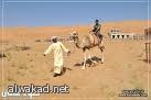 كشافة الوادي تُزين الميادين  بصور خادم الحرمين الشريفين