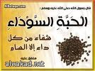 أبوظبي تطلق أول نظام في العالم لتصنيف المخيمات الصحراوية
