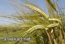 اتهام الاستخبارات الأمريكية بالفشل بالتنبؤ بالاضطرابات في العالم العربي