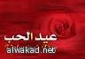 سر تدهور ألوان لوحات فان كوخ