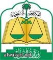 الجيش الإيراني يصنع  أحدث مقاتلة إيرانية
