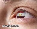 قطر مستعدة لتسويق نفط شرق ليبيا