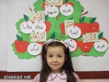 السعودية تمنع  عبور طائرة