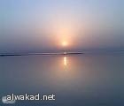 ثلث الأمريكيين يفضلون الموبايل على الجنس