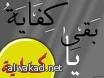 الصين تنشئ صور الصين الأخضر العظيم بزراعة أكثر من 520 ألف هكتار من اشجار