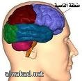 تجارب على قطط معدلة جينيا لمكافحة الايدز