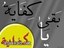 100 مليون شجرة زيتون في سوريا تنتج قرابة مليون طن زيت