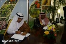 استثمارات المؤسسة العامة للتأمينات الاجتماعية في الميزان استثمارات المؤسسة العامة للتأمينات الاجتماعية في الميزان