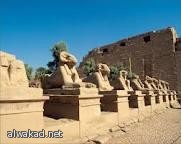 كاميليا صبحي أول امرأة تتولى أمانة المجلس الأعلى للثقافة