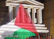 منظار القولون يقلل من احتمال الإصابة بالسرطان