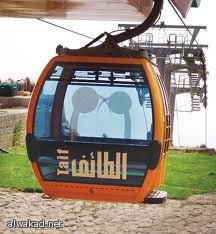 مسلم يتقدم لخلافة البابا شنودة في مصر!