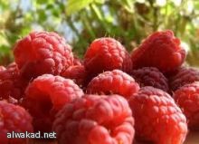 يادة الملح في الطعام يزيد مخاطر الاصابة بالجلطات