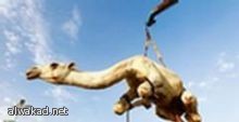 سلاح الجوي الامريكي يجرب طائرة تفوق سرعة الصوت ست مرات لتضرب أي مكان في العالم في ساعة سلاح الجوي الامريكي يجرب طائرة تفوق سرعة الصوت ست مرات لتضرب أي مكان في العالم في ساعة