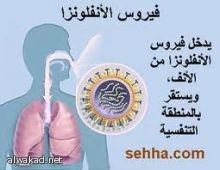 تحويل  مبنى إمارة محائل القديم ليكون مقرا للإبداع الحرفي