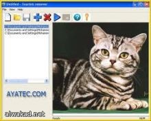 بعثة سعودية ألمانية تنقب عن الاثار ي في تيماء
