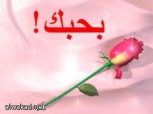 دعوى قضائية لإغلاق محال الخمور والمراقص في مصر