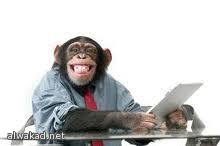 احتفالا بالعيد  كعكة طولها كيلومتران… في نصف ساعة