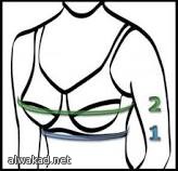 عقد بين العلوم والتقنية» وشركة  مورجانتي لتصميم واحة التقنية بالطائف