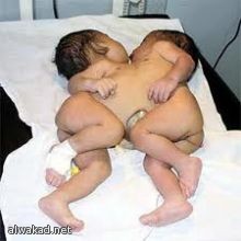 بريطاني أسلم حديثاً.. يهدد بقتل الأمير هاري