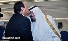 اختفاء «سيدة مجتمع» جمعت 20 مليون جنيه من ضباط وقضاة لتوظيفها