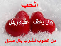 البلوي رسب في 13 مادة.. ويقود اليونيسكو لجودة التعليم