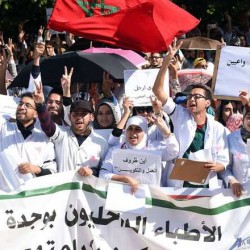 باحثون يبتكرون نموذجا رياضيا للقضاء على أسراب الجراد
