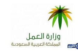 اتحاد المصريين بالسعودية  يقر تأسيس شركة مساهمة بـ١٠٠مليون دولار لإقامة جامعه ومدينة طبية بالصعيد