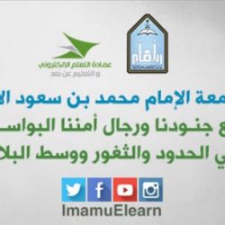 الصين ومنغوليا وروسيا تبني ممرا اقتصاديا جديدا الصين ومنغوليا وروسيا تبني ممرا اقتصاديا جديدا