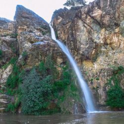 مؤسسة القلب الكبير تساعد 424 طفلاً فلسطينياً على الاستقرار الأسري والاجتماعي