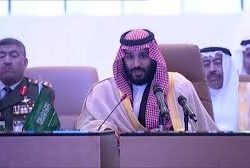 احكام بسجن الحمير لتعدها على نبات جميل احكام بسجن الحمير لتعدها على نبات جميل