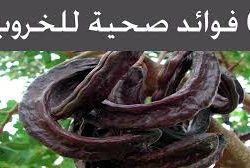 مجلس الغرف السعودية و مسئول أوروبي بحثا أوجه التعاون لدعم التنوع الاقتصادي وجذب الاستثمارات مجلس الغرف السعودية و مسئول أوروبي بحثا أوجه التعاون لدعم التنوع الاقتصادي وجذب الاستثمارات