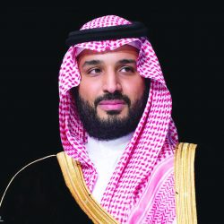 ينظمها مجلس الغرف السعودية وتبدأ من الطائف وحائل 4 ورش عمل  مهنتي بيدي” لتوعية وتوطين قطاع التجميل