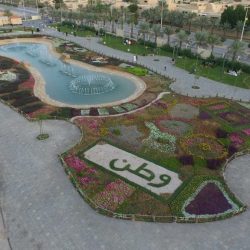 لسعودية تطلق رؤية جديدة لتحويل «العُلا» إلى وجهة عالمية للتراث لسعودية تطلق رؤية جديدة لتحويل «العُلا» إلى وجهة عالمية للتراث