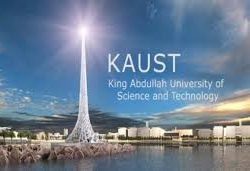 مهرجان “التعاون الإسلامي” انطلاقة جديدة لعمل نوعي مهرجان “التعاون الإسلامي” انطلاقة جديدة لعمل نوعي