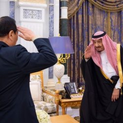 50 صقراً للتوصيل السريع في الإمارات والسعودية..آخر صيحات خدمة الزبائن 50 صقراً للتوصيل السريع في الإمارات والسعودية..آخر صيحات خدمة الزبائن