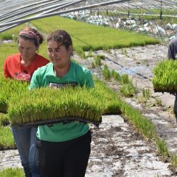 أكثر من 1.6 مليون شخص يعملون في أعمال متعلقة بالثقافة أكثر من 1.6 مليون شخص يعملون في أعمال متعلقة بالثقافة