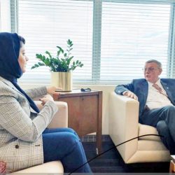 71 مليار دولار حجم التجارة بين الصين والسعودية خلال أول 11 شهرا من العام الماضي