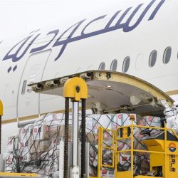 مسودة تعديل الدستور “مزيفة” في الجزائر والقبض على ناشرها مسودة تعديل الدستور “مزيفة” في الجزائر والقبض على ناشرها