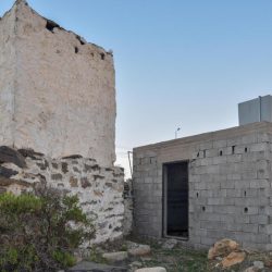 مواطنة سعودية  طلبت ترخيصا للسفر برا فامنت لها الصحة طائرة لعلاج بنتها مواطنة سعودية  طلبت ترخيصا للسفر برا فامنت لها الصحة طائرة لعلاج بنتها