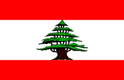 مجلس الغرف السعودية ينظم لقاءً افتراضيًا لنائب وزير الصناعة والثروة المعدنية لشؤون التعدين مع المستثمرين في القطاع