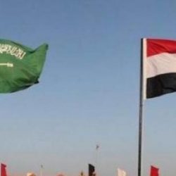 حفل موسيقي صيني مصري عن بعد السبت بمناسبة الذكرى 64 لإقامة العلاقات الدبلوماسية