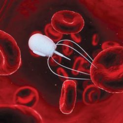 الجزائر تكثف توجهها إلى الصيرفة الإسلامية