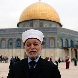 بعد مرور قرابة 200 عام من فك رموز حجر رشيد.. غوغل تُحول رموز الهيروغليفية للإنجليزية بعد مرور قرابة 200 عام من فك رموز حجر رشيد.. غوغل تُحول رموز الهيروغليفية للإنجليزية
