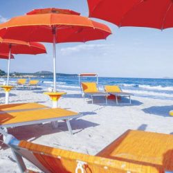 تصدير أول شحنة قمح لشركة “سالك” تصدير أول شحنة قمح لشركة “سالك”