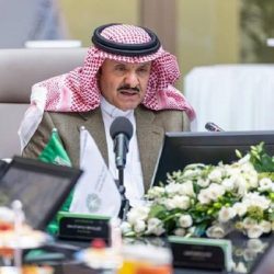 شركة صينية تحفر 120 بئرا في صحراء المنيا بمصر لإنشاء مزرعة ضخمة وأكبر مصنع للسكر