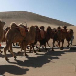 عائلة صينية من 6 قوميات مختلفة