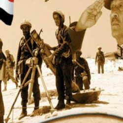 نداء أبوعلي تؤكد أهمية سيادة القانون على الصعيدين الوطني والدولي